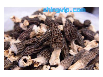 食用菌檢測(cè)