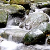 天然礦泉水檢測