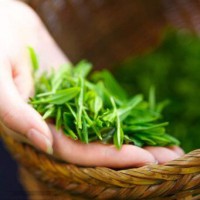 富硒茶檢測(cè)