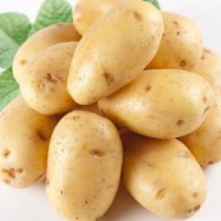 富硒馬鈴薯檢測(cè)