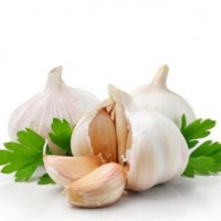 富硒大蒜檢測(cè)