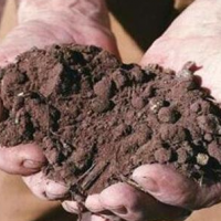 土壤45項(xiàng)檢測