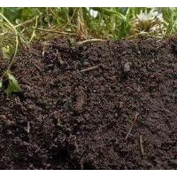 重慶土壤中危害物質(zhì)檢測(cè)，重金屬及有機(jī)物檢測(cè)