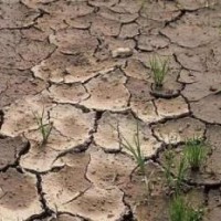 寧波市土壤第三方檢測機(jī)構(gòu)，寧波土壤檢測一次多少錢