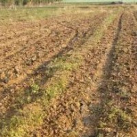 廣州市有機(jī)土壤檢測(cè)分析需要多少錢