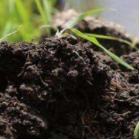 深圳市有機(jī)土壤種植檢測部門_機(jī)構(gòu)_中心