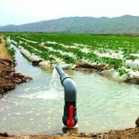 佛山市漁業(yè)水檢測中心，佛山市農業(yè)灌溉水檢測