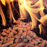 東莞生物質(zhì)燃料檢測(cè)機(jī)構(gòu)_中心_部門_單位