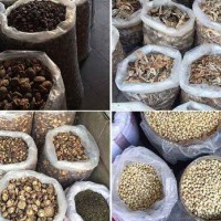 長沙食用菌檢測機(jī)構(gòu)，食用菌國標(biāo)檢測多少錢