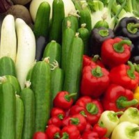 濟(jì)南市農(nóng)產(chǎn)品農(nóng)藥殘留檢測中心，蔬菜快檢機(jī)構(gòu)