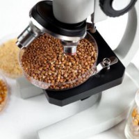 濟(jì)南市食品第三方檢測機(jī)構(gòu)，濟(jì)南食品檢測權(quán)威單位