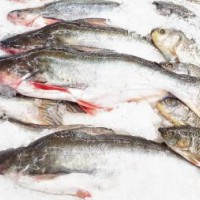 水產(chǎn)品孔雀石綠快速檢測