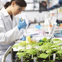 江門_云浮食品檢驗檢測中心,蔬菜瓜果檢測單位