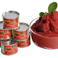 番茄醬罐頭檢測