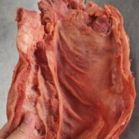 成都雞肉_豬肉_牛肉_羊肉檢測機構(gòu)