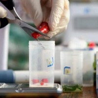 清遠食品做一次檢測報告多少錢，清遠食品出廠報告辦理