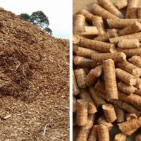 汕頭哪里可以檢測生物質(zhì)，汕頭生物質(zhì)檢測所