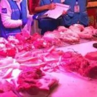 山東獸藥殘留檢測機(jī)構(gòu)【日照_青島_煙臺_棗莊】