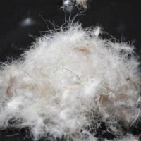 成都羽絨服羽絨檢測中心，成都羽絨含絨量檢測